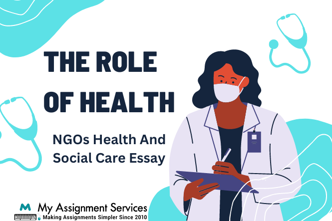 NGOs Health And Social Care Essay