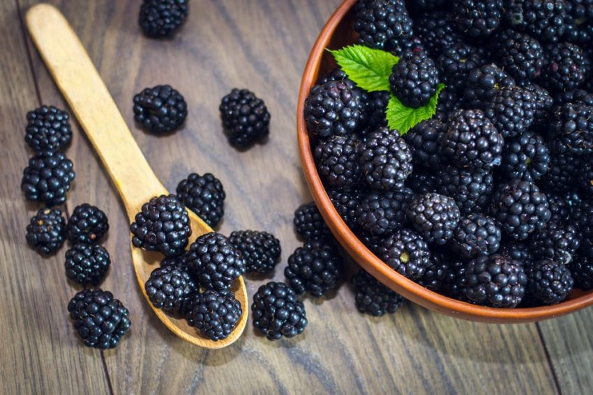 Medical-advantages-of-Blackberries-for-Men