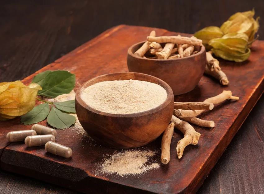 Wellbeing-Benefits-Of-Ashwagandha-For-Best-Way-of-life